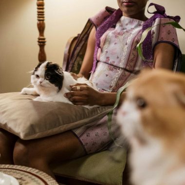 African American woman in patterned dress sitting with cats indoors, cozy lamp-lit setting.